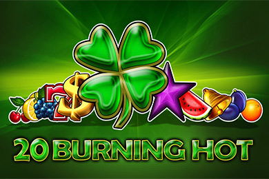 Egt Provide 20 Bh игровой автомат Мэд Казино